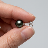 Orecchini in argento con perle coltivate di Tahiti - Diametro 8-9 mm