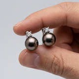 Orecchini -Perle di Tahiti- Diametro Ovale 8-9 mm- Argento