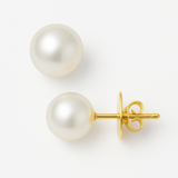 Orecchini - Perle coltivate d'acqua dolce - Bottone Diametro 9-10 mm Bianco - Gioielli da donna - Oro giallo